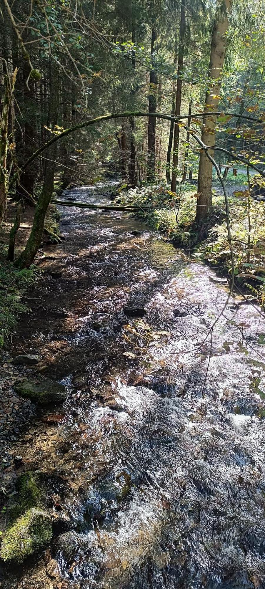 Appartement Bergzauber Scheibenberg Luaran gambar